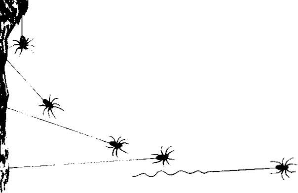 Иллюстрация к книге — Лесные тайнички [i_064.jpg]