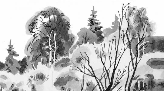 Иллюстрация к книге — Лесные тайнички [i_070.jpg]