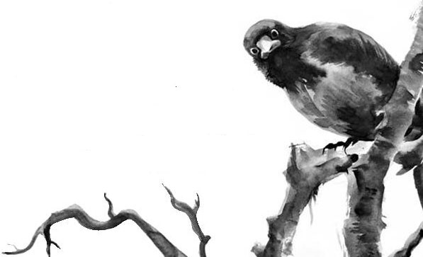 Иллюстрация к книге — Лесные тайнички [i_079.jpg]