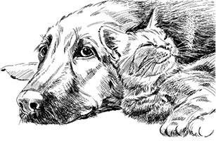 Иллюстрация к книге — Лесные тайнички [i_082.jpg]