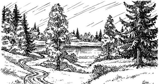 Иллюстрация к книге — Лесные тайнички [i_086.jpg]