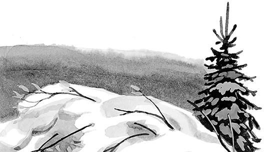 Иллюстрация к книге — Лесные тайнички [i_091.jpg]