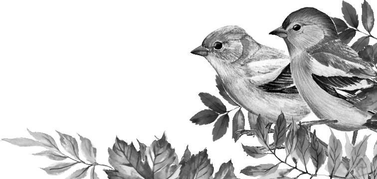 Иллюстрация к книге — Лесные тайнички [i_092.jpg]