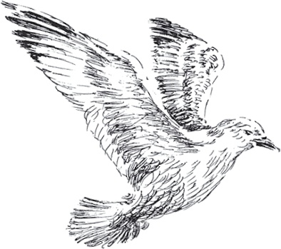 Иллюстрация к книге — Золото скифов [i_009.jpg]