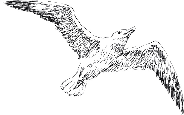 Иллюстрация к книге — Золото скифов [i_010.jpg]