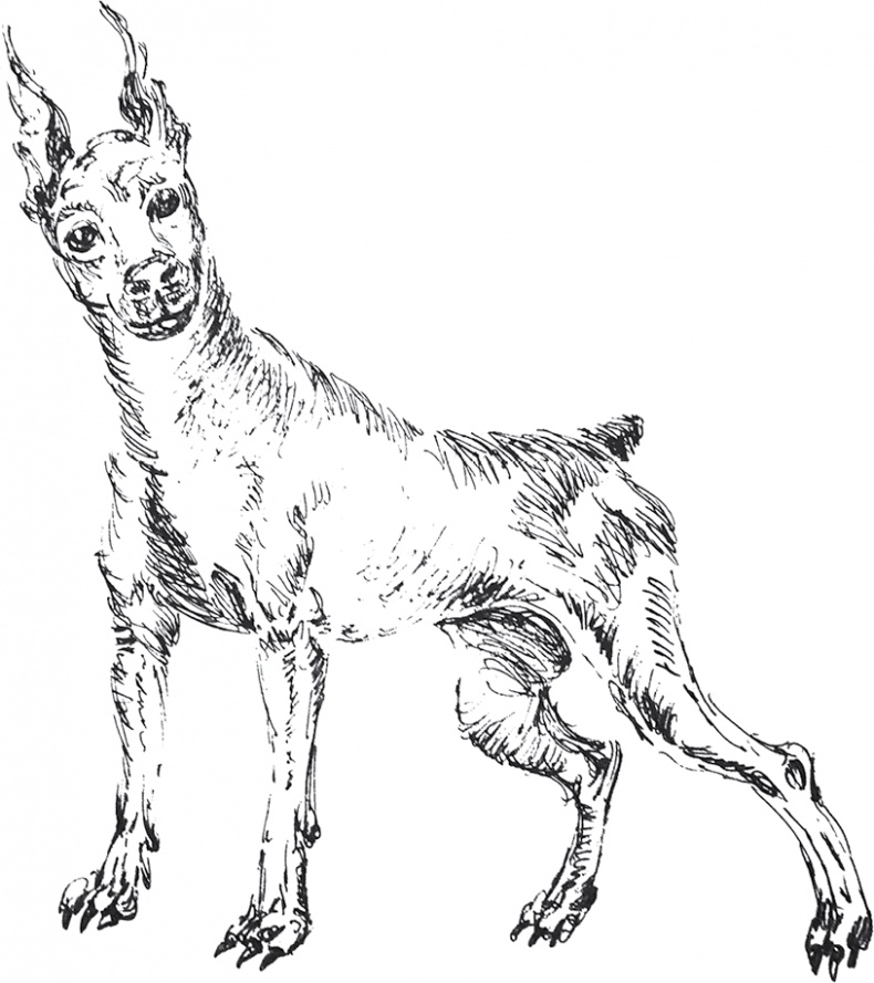 Иллюстрация к книге — Золото скифов [i_014.jpg]