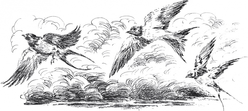 Иллюстрация к книге — Золото скифов [i_019.jpg]