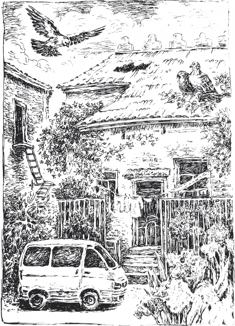 Иллюстрация к книге — Золото скифов [i_025.jpg]