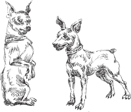 Иллюстрация к книге — Золото скифов [i_044.jpg]