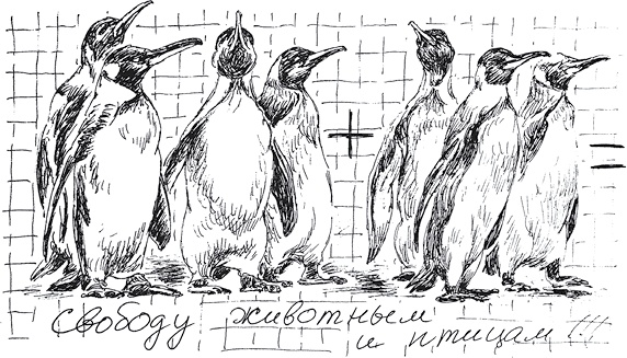 Иллюстрация к книге — Золото скифов [i_071.jpg]