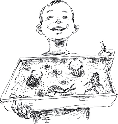 Иллюстрация к книге — Золото скифов [i_072.jpg]