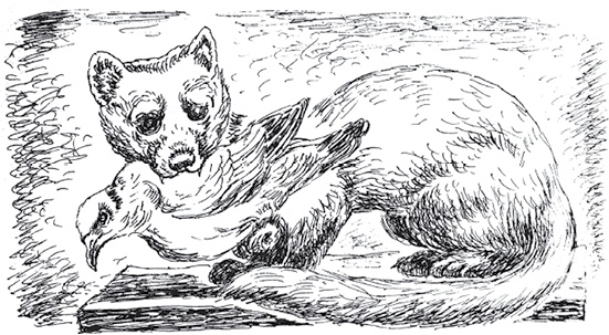 Иллюстрация к книге — Золото скифов [i_084.jpg]