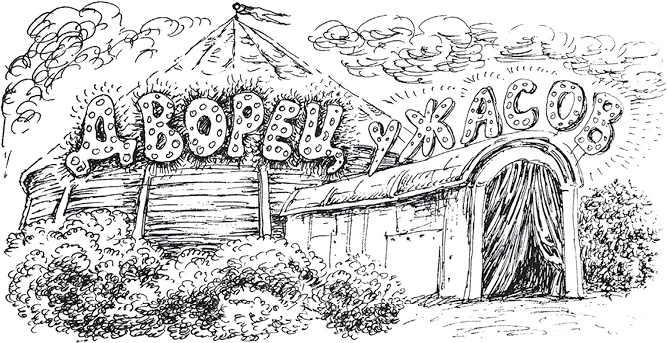 Иллюстрация к книге — Золото скифов [i_091.jpg]