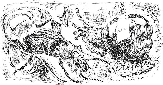 Иллюстрация к книге — Золото скифов [i_113.jpg]