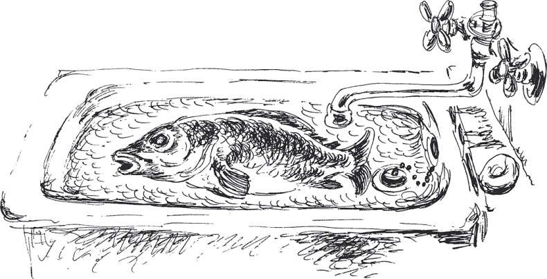 Иллюстрация к книге — Золото скифов [i_117.jpg]