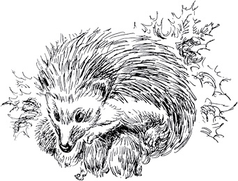 Иллюстрация к книге — Золото скифов [i_126.jpg]