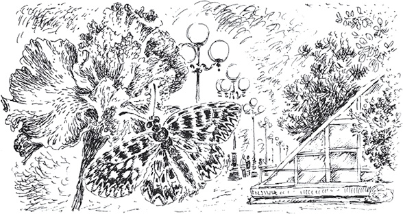 Иллюстрация к книге — Золото скифов [i_131.jpg]