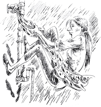 Иллюстрация к книге — Золото скифов [i_134.jpg]