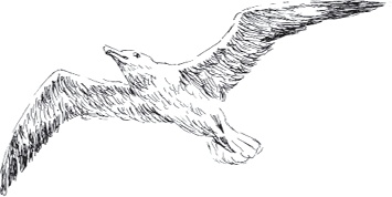 Иллюстрация к книге — Золото скифов [i_140.jpg]