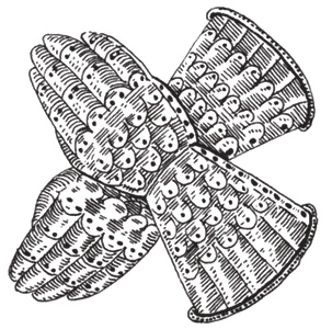 Иллюстрация к книге — История рыцарского вооружения [i_021.jpg]