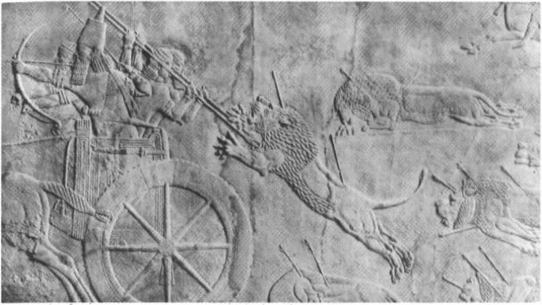 Иллюстрация к книге — Повседневная жизнь людей Библии [img_18.jpg]