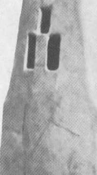 Иллюстрация к книге — Повседневная жизнь людей Библии [img_8.jpg]