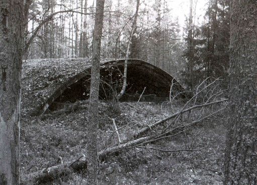 Иллюстрация к книге — На фланге линии Маннергейма. Битва за Тайпале [i_005.jpg]