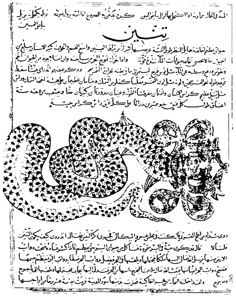 Иллюстрация к книге — Книга катастроф [i_007.jpg]