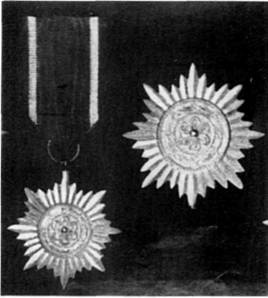 Иллюстрация к книге — Иностранные добровольцы в вермахте. 1941-1945 [any2fbimgloader31.jpg]