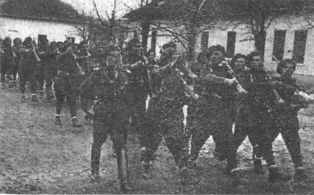 Иллюстрация к книге — Десанты 1941 года [i_036.jpg]