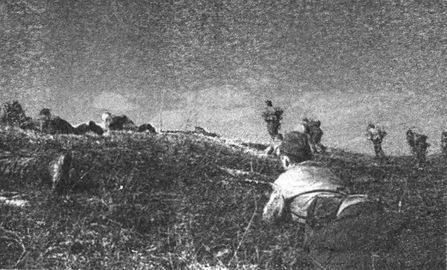 Иллюстрация к книге — Десанты 1941 года [i_075.jpg]