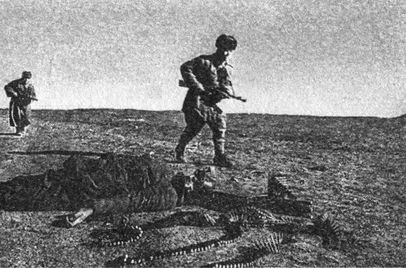 Иллюстрация к книге — Десанты 1941 года [i_114.jpg]