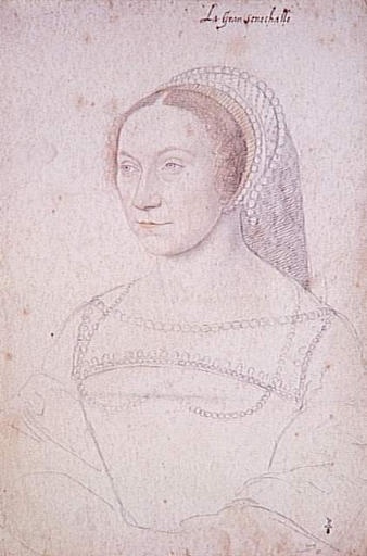 Иллюстрация к книге — Диана де Пуатье [_1540_diane_de_poitiers_by_f.jpg]