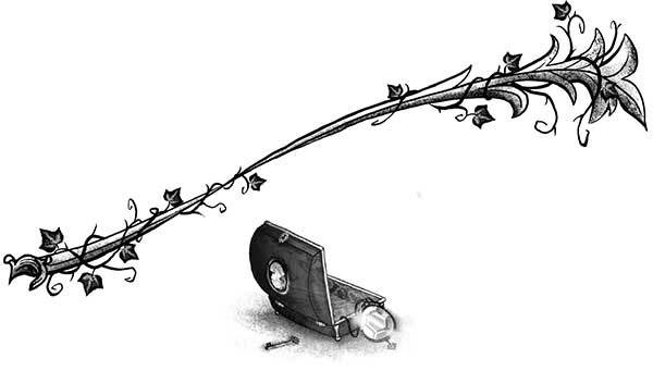 Иллюстрация к книге — Только не Айви Покет! [i_010.jpg]