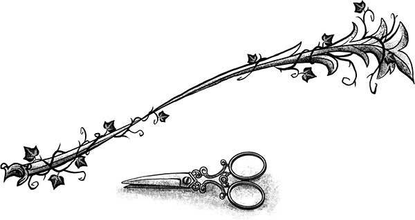 Иллюстрация к книге — Только не Айви Покет! [i_014.jpg]