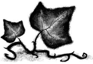 Иллюстрация к книге — Только не Айви Покет! [i_032.jpg]