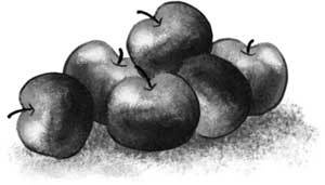 Иллюстрация к книге — Только не Айви Покет! [i_055.jpg]