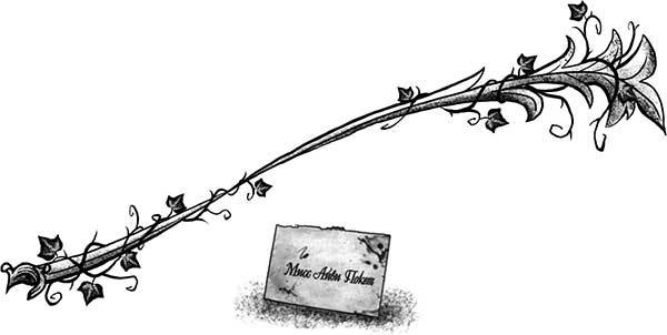 Иллюстрация к книге — Только не Айви Покет! [i_057.jpg]