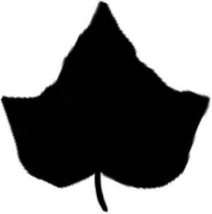 Иллюстрация к книге — Только не Айви Покет! [i_059.jpg]