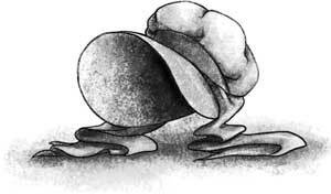 Иллюстрация к книге — Только не Айви Покет! [i_071.jpg]