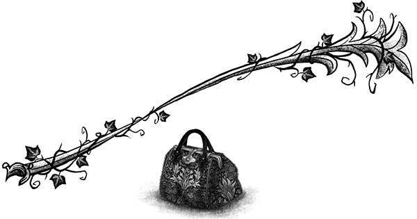 Иллюстрация к книге — Только не Айви Покет! [i_077.jpg]