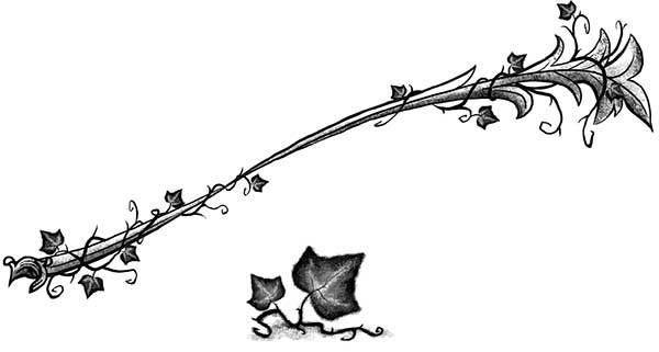 Иллюстрация к книге — Только не Айви Покет! [i_085.jpg]