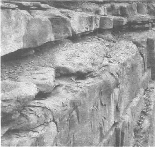 Иллюстрация к книге — Ж*па. Инструкция по выходу [i_006.jpg]