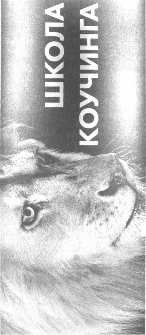 Иллюстрация к книге — Ж*па. Инструкция по выходу [i_016.jpg]