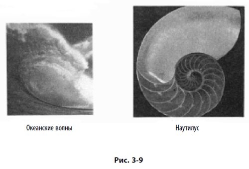 Иллюстрация к книге — Волновой принцип Эллиотта: Ключ к пониманию рынка [i_096.jpg]
