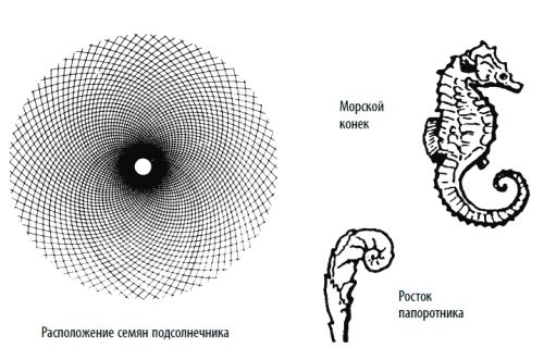 Иллюстрация к книге — Волновой принцип Эллиотта: Ключ к пониманию рынка [i_097.jpg]