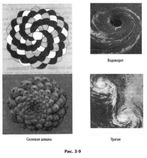 Иллюстрация к книге — Волновой принцип Эллиотта: Ключ к пониманию рынка [i_098.jpg]