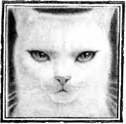 Иллюстрация к книге — Пастушья корона [i_006.jpg]