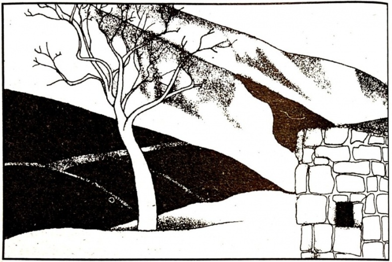 Иллюстрация к книге — Отступница [i_019.jpg]