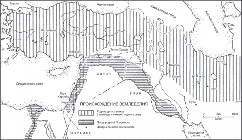 Иллюстрация к книге — Древние цивилизации Евразии. Исторический путь от возникновения человечества до крушения Римской империи [i_002.jpg]